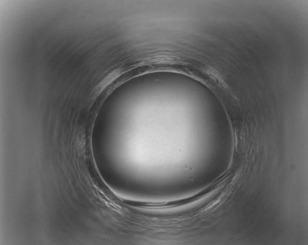 X0000052971065200507151756