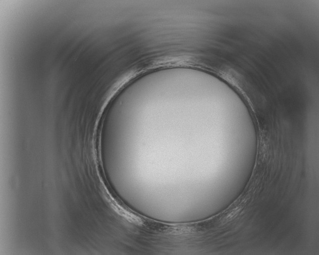 X0000052971090200507151755