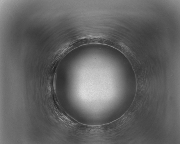 X0000052971110200507151754