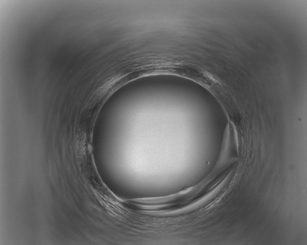 X0000052971161200507151754