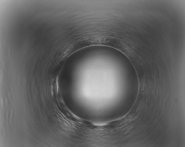 X0000052971202200507151753