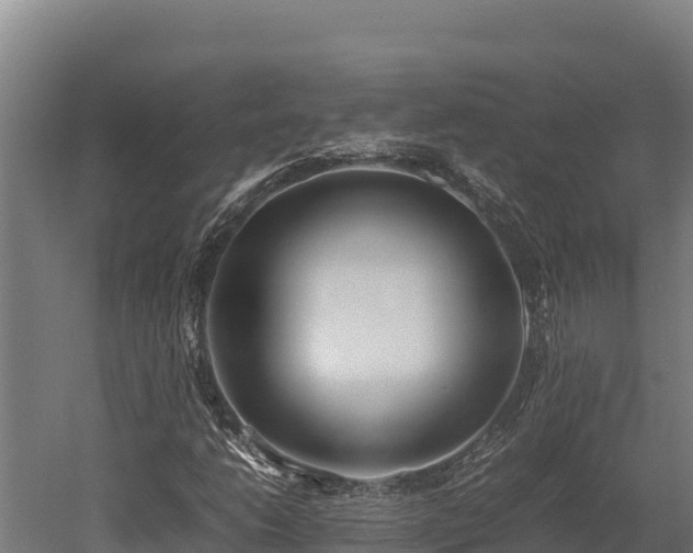X0000052971206200507151753