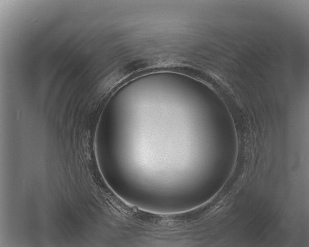 X0000052971265200507151752