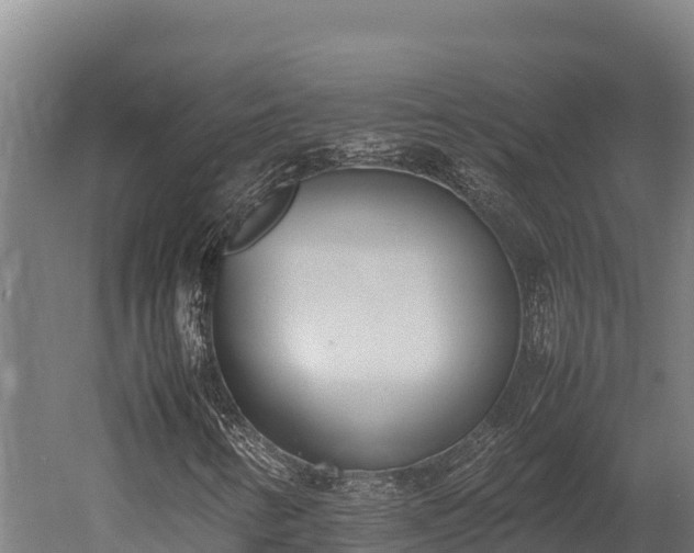 X0000052971346200507151751