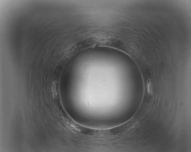 X0000052971347200507151751