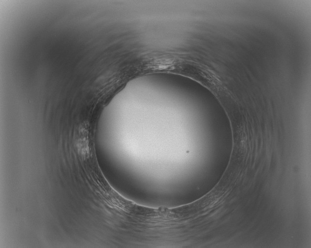 X0000052971442200507151749