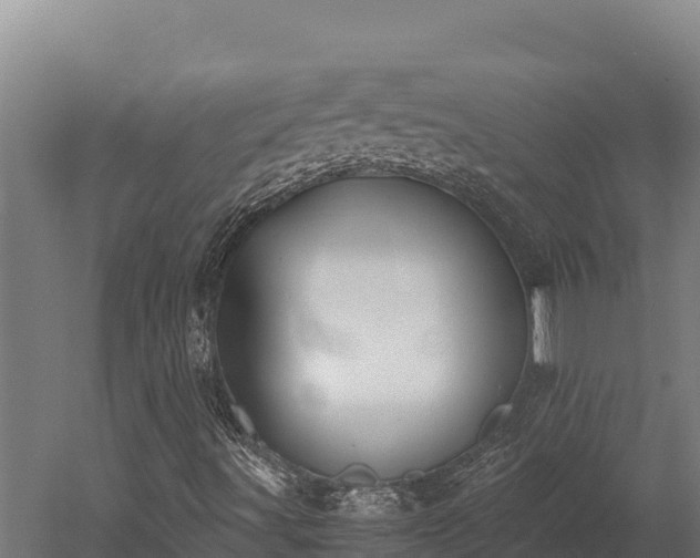 X0000052971491200507151748