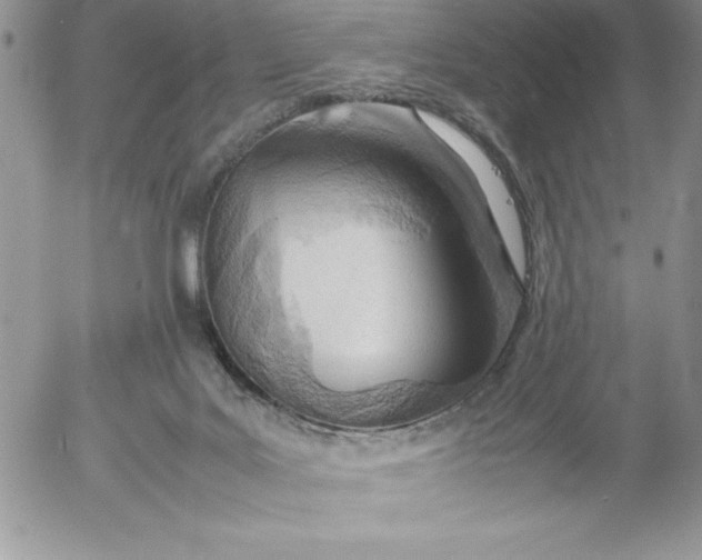 X0000052970027200507221314