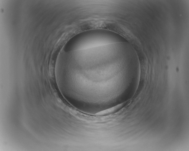 X0000052970035200507221313