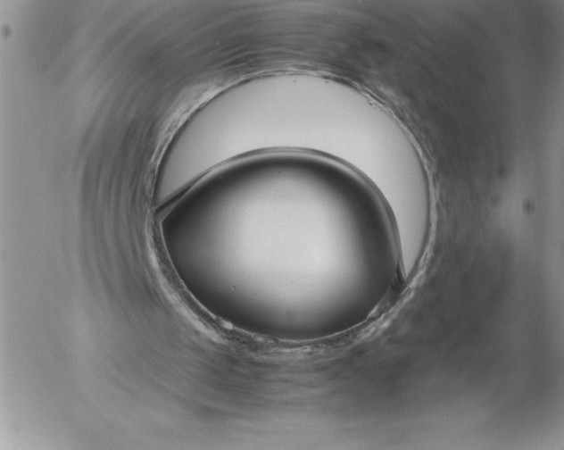 X0000052970049200507221312