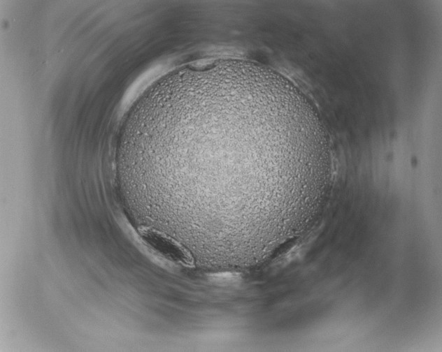 X0000052970053200507221312