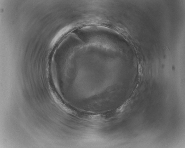X0000052970054200507221312