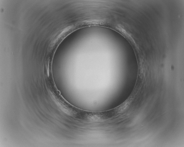 X0000052970062200507221313