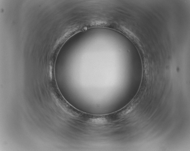 X0000052970067200507221313