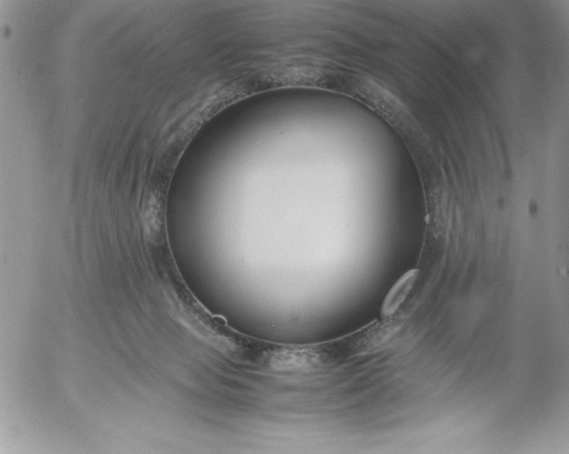 X0000052970077200507221313