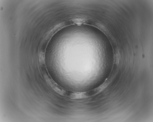X0000052970093200507221313