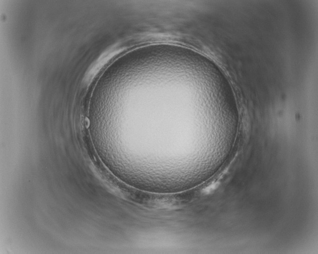 X0000052970103200507221312