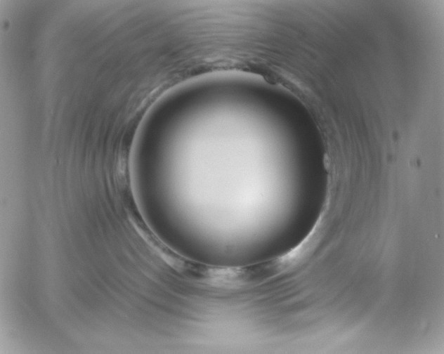 X0000052970192200507221312