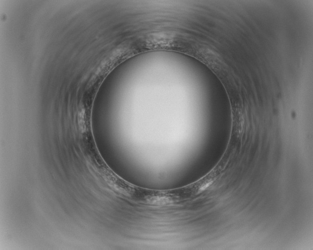X0000052970224200507221310
