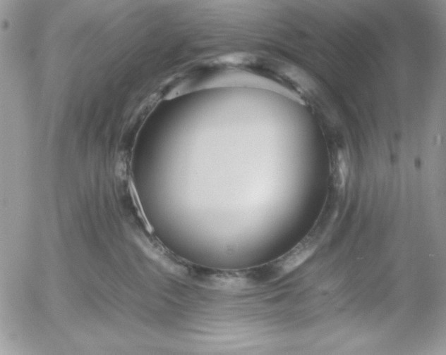 X0000052970284200507221310
