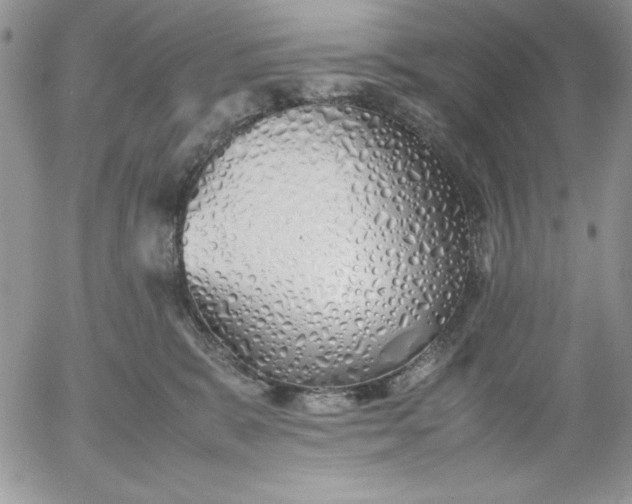 X0000052970327200507221309