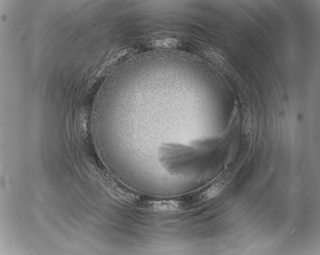 X0000052970363200507221308