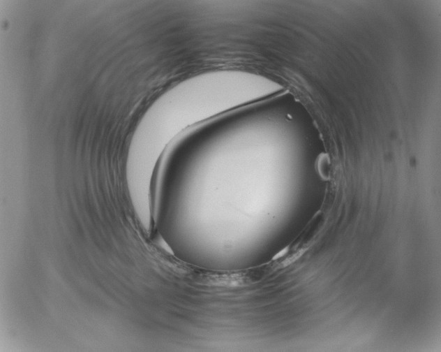 X0000052970377200507221308