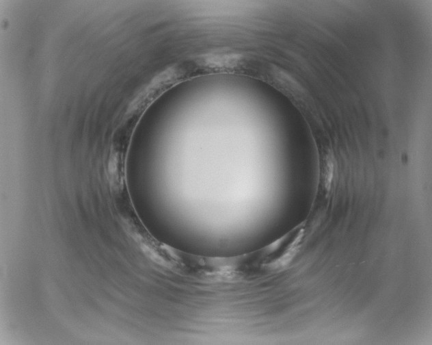 X0000052970428200507221307
