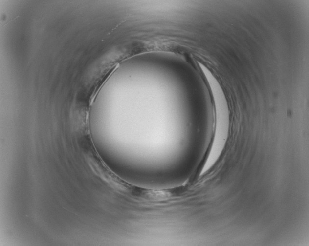 X0000052970429200507221307
