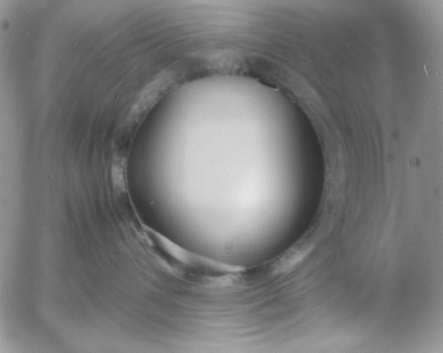 X0000052970432200507221307