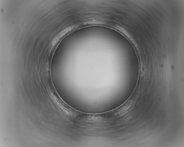 X0000052970437200507221306