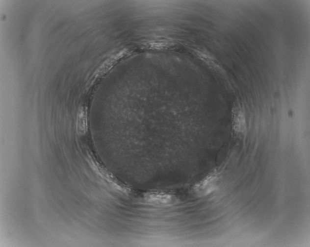 X0000052970471200507221307