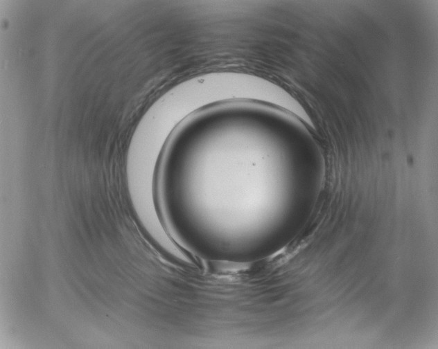 X0000052970475200507221307