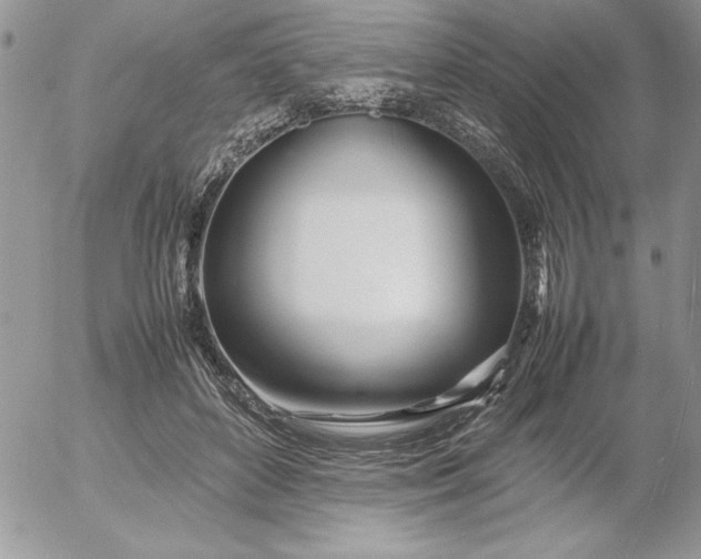 X0000052970504200507221306