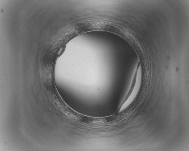 X0000052970505200507221306