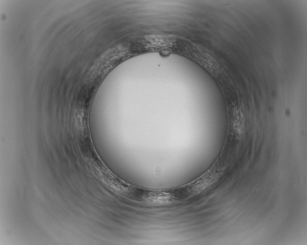 X0000052970514200507221305