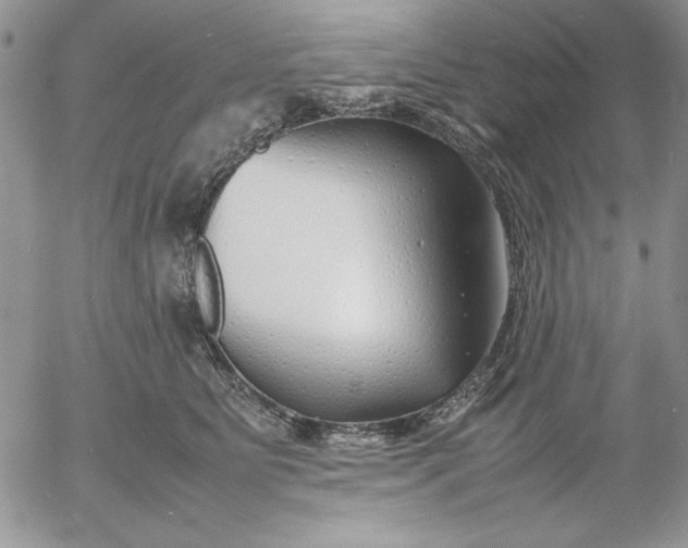 X0000052970515200507221305
