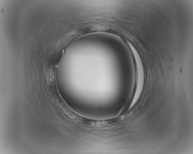 X0000052970517200507221305