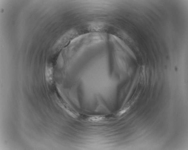 X0000052970526200507221305