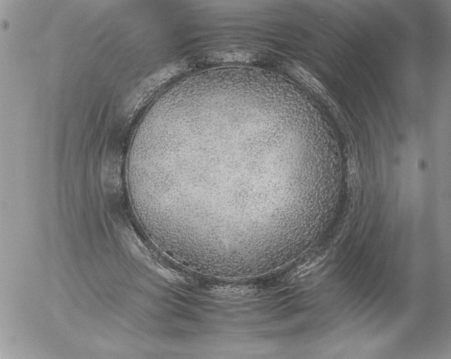 X0000052970537200507221305