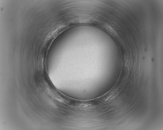 X0000052970542200507221305