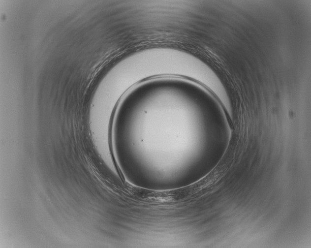 X0000052970552200507221305