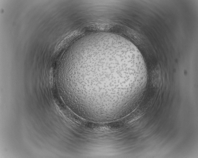 X0000052970594200507221304