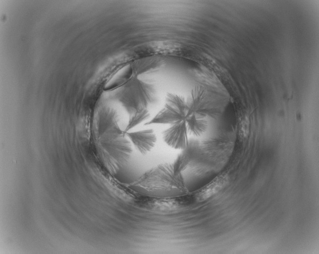 X0000052970666200507221304