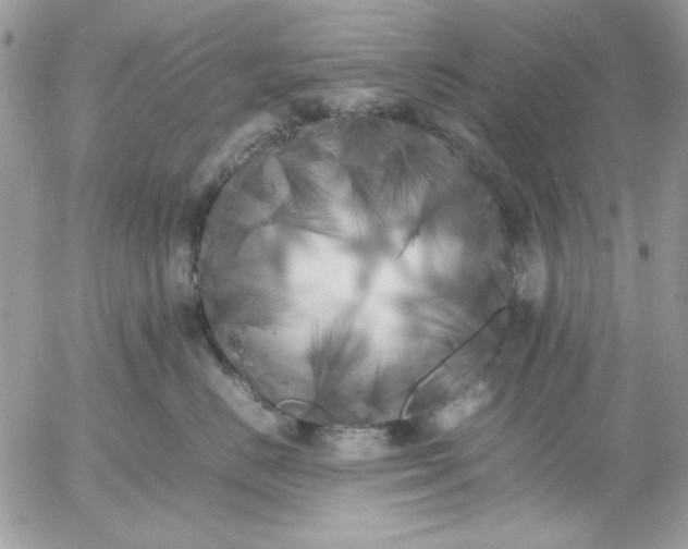 X0000052970670200507221304