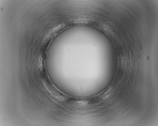 X0000052970692200507221303