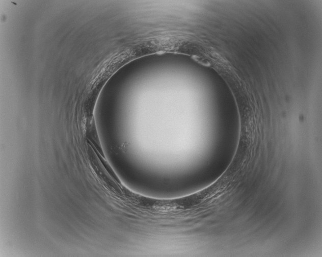 X0000052970693200507221302