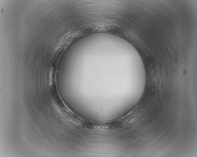 X0000052970694200507221302