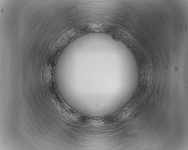 X0000052970702200507221302
