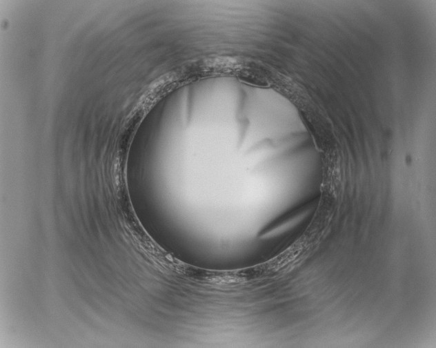 X0000052970708200507221302